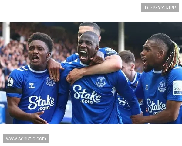 埃弗顿与水晶宫比赛因天气原因延期球迷期待新赛程安排