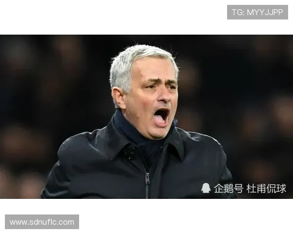 希拉尔与赖杨精彩对决直播全程回顾与赛后分析